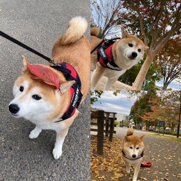 3fabc9ed 31d9 4cc8 a14c 6d84d7179f51 1668255344097