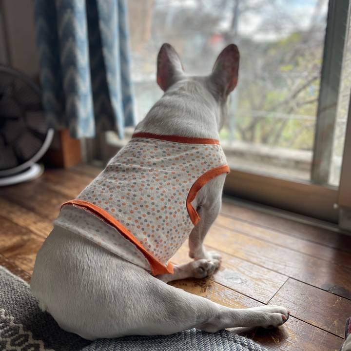 3fabe840 caa7 4817 9f31 d12d2b399005 1731968566773