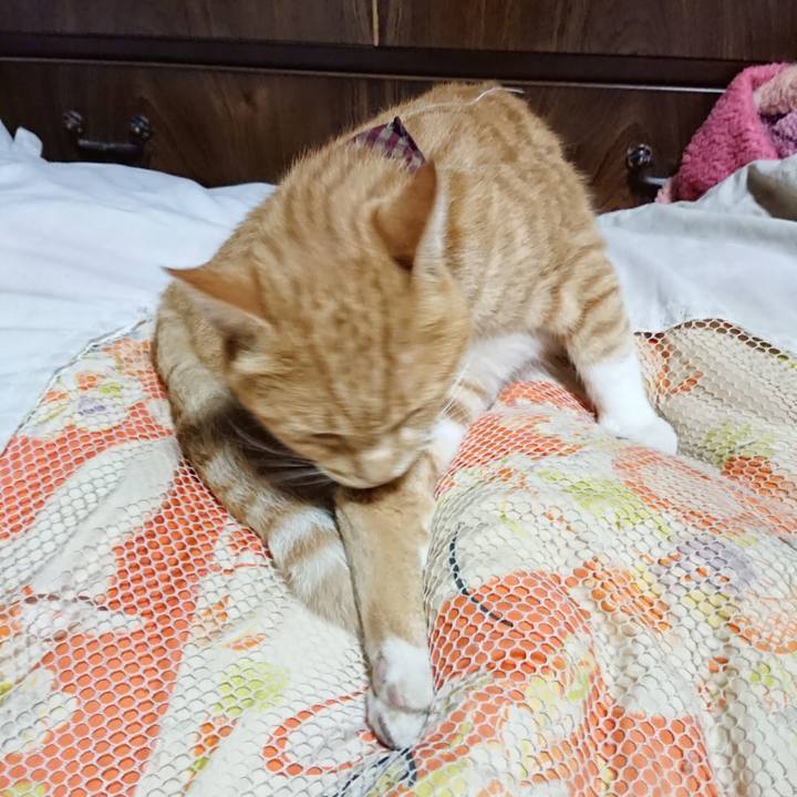 3fac51d8 31c3 4882 8249 e57aeb2c7beb 1567427064913