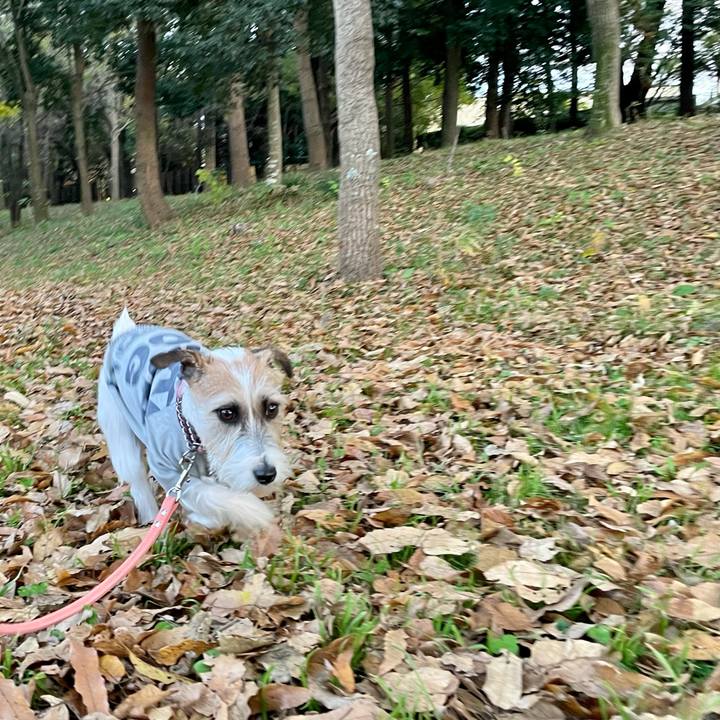 3fac52f2 a5e7 4f52 9c19 8018320f52df 1637310427718