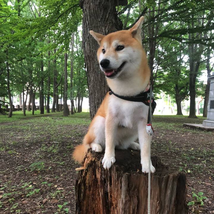 3faccf1f 50de 4f70 9bf8 e21ee5e876b7 1531570356815