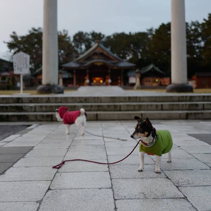 3fad25af 18f0 4862 a30f 7fb68027d0de 1512966598781