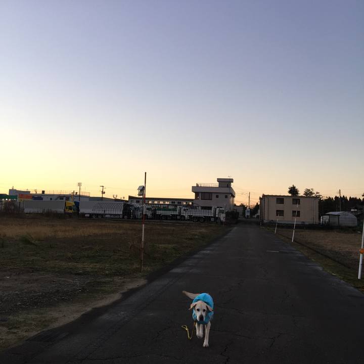 3fad2940 6da2 4ab1 bf22 bc192a3f28fa 1545692331129