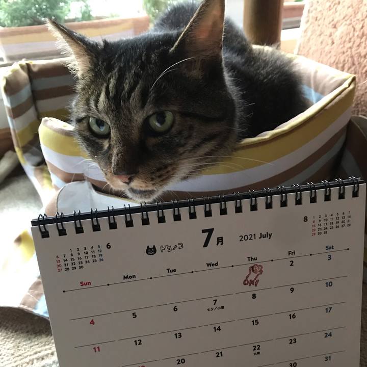 3fad4371 41d4 488e 9c19 92882a9b7a38 1625092454949