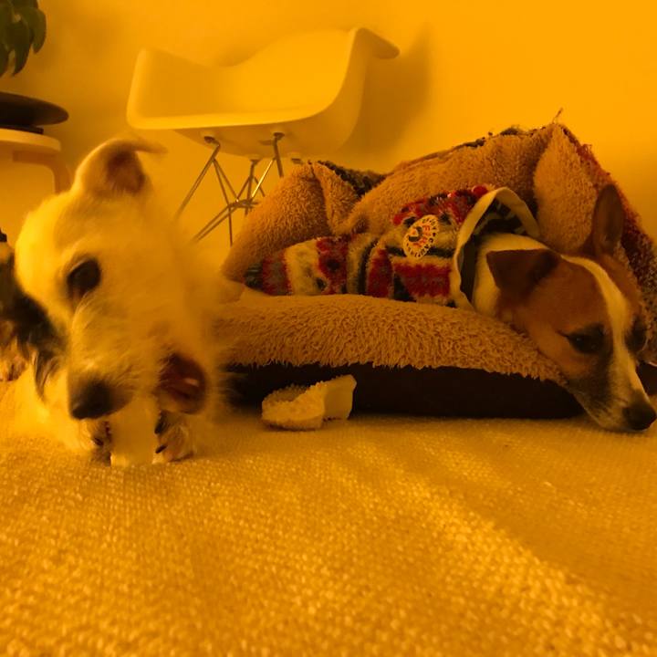 3fad4d82 31f2 4c39 9071 581fd3639b4a 1511353830759