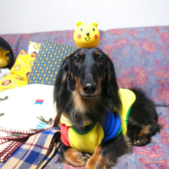 3fad5c6f e818 483d 9c72 1396554f0410 1556084340727