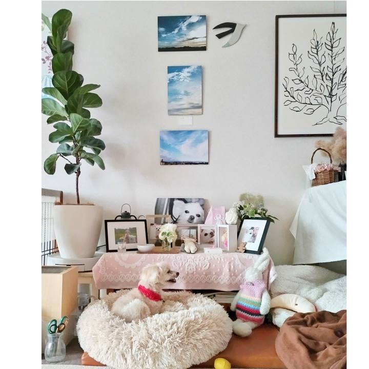 3fad78fb 2932 4665 b11d 6e8383bde819 1689068215453