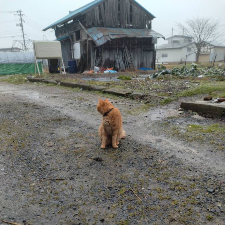 3fadbd10 40c9 469b 8001 17a407ff071c 1705881507403