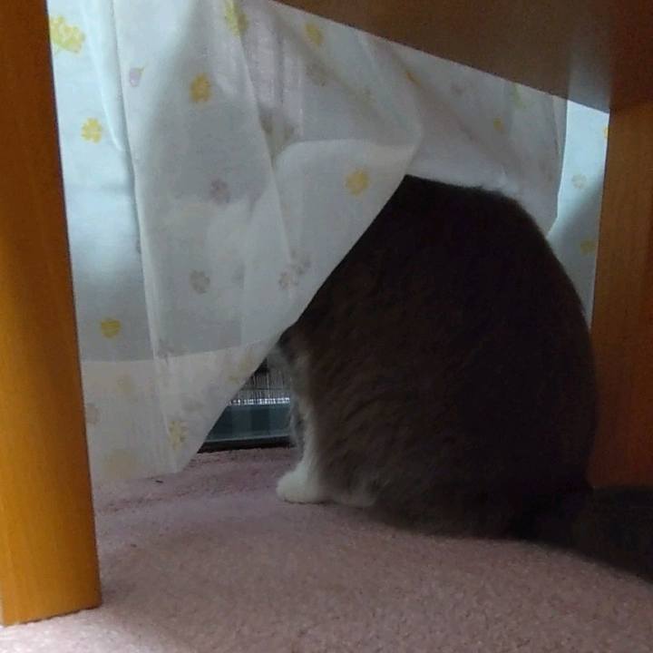 3fadedae 85f0 4a58 8846 2bbb0ed8c7fb 1656225275445