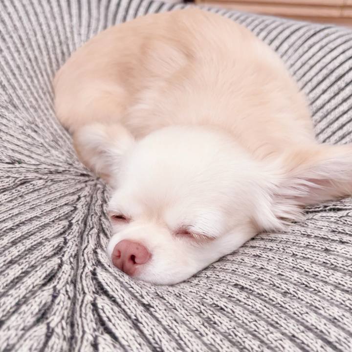 3fadf038 70ef 4523 846d cf3be3534bcf 1696399559559