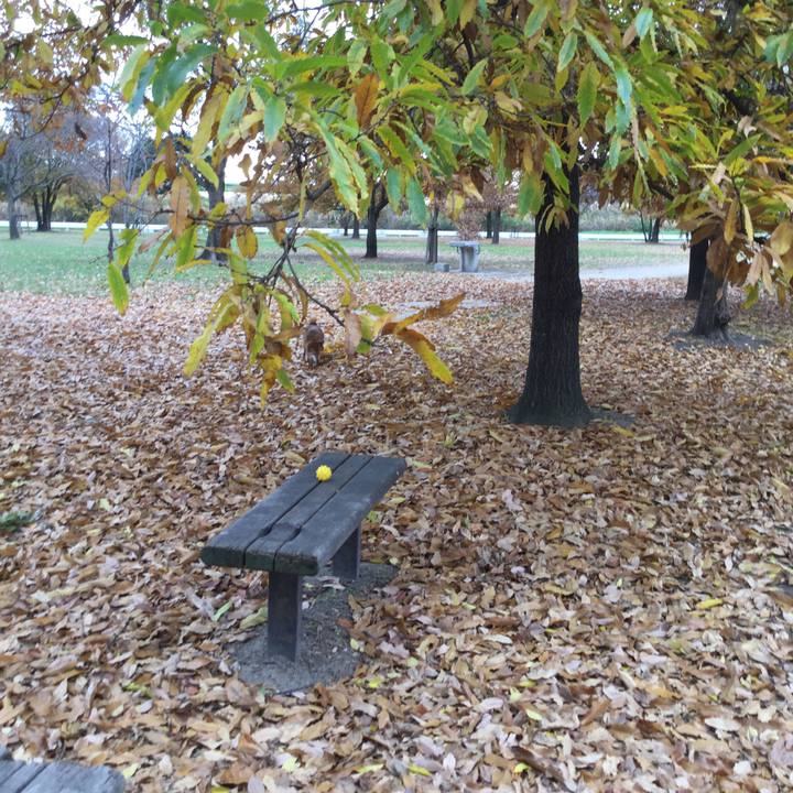 3fae1cea 3f82 4815 a5fd acb5626dbcfe 1543985634516