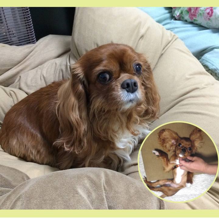 3fae1f40 7c43 4333 83f7 ff54dfc5e1cb 1563402262579