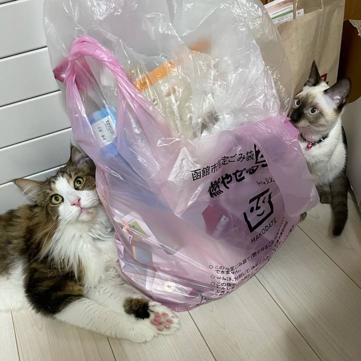 3fae6b44 12e5 4551 9ff1 743049e6f47a 1695064766928