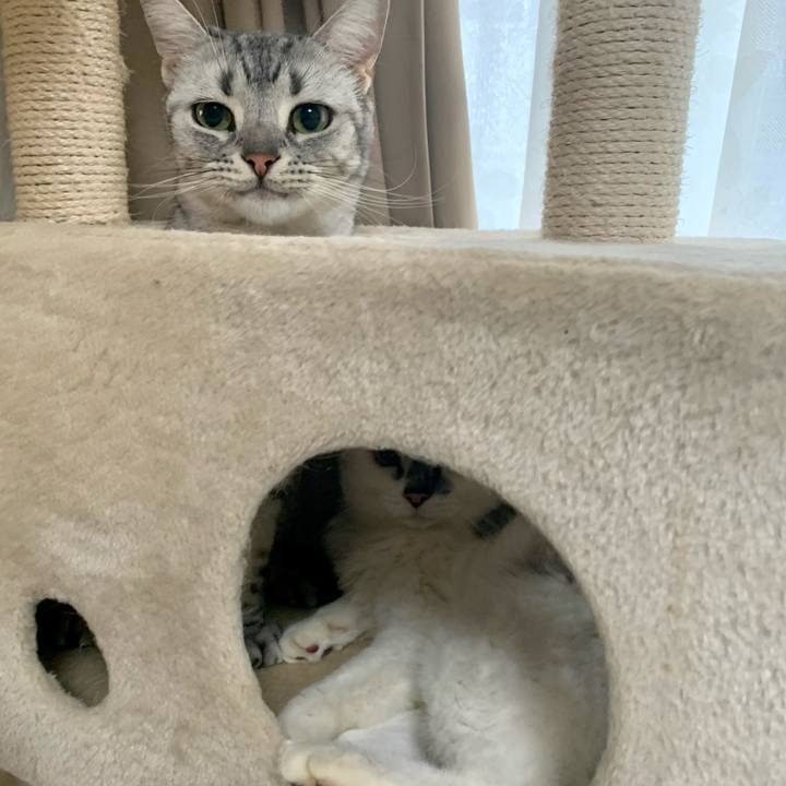 3fae7417 0e52 446a b5bd aa6a427b978f 1631335488677