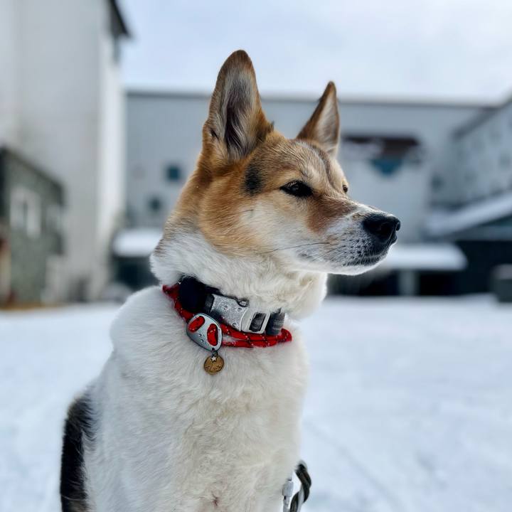 3fae9da9 353d 4ae5 9cc5 add9dd812ff4 1772768184581