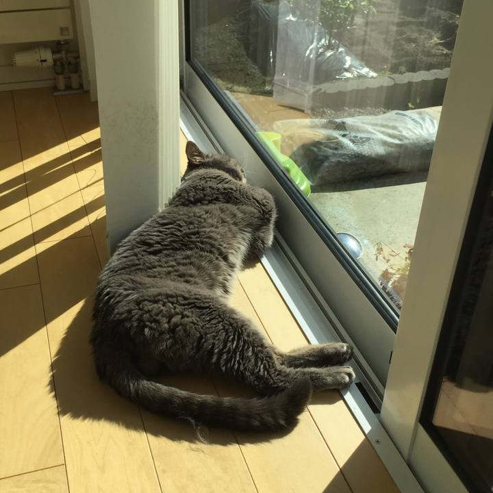 3faea6d9 70b7 4f41 9d4a f6de6305a499 1540000362049