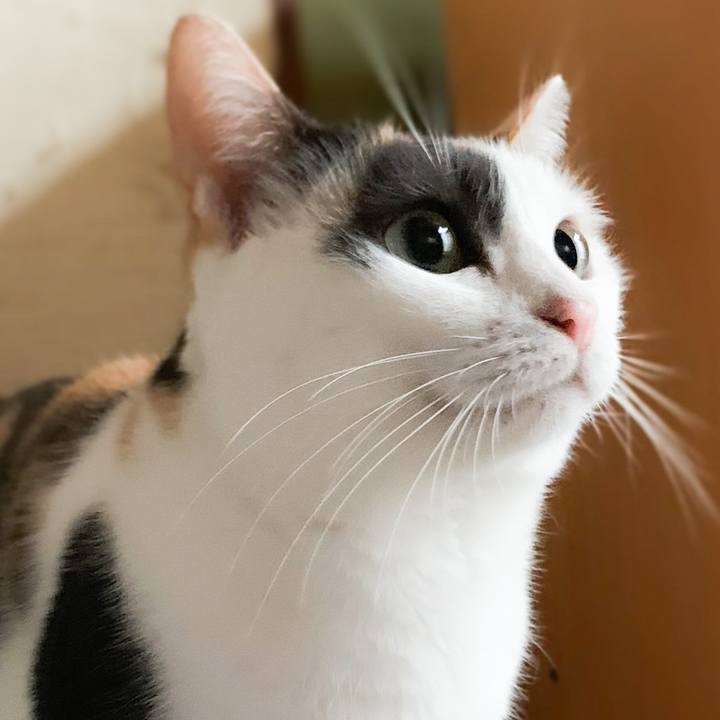 3faed4d2 f632 4cb6 a2e6 100f3b536987 1575515195068