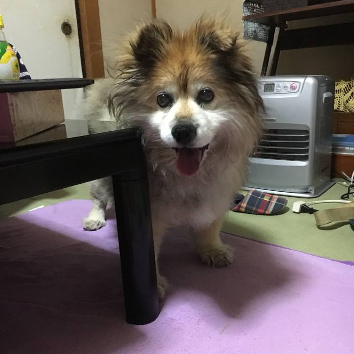 3faee64c 0422 40da 9cda da1ad90a355f 1566930669042