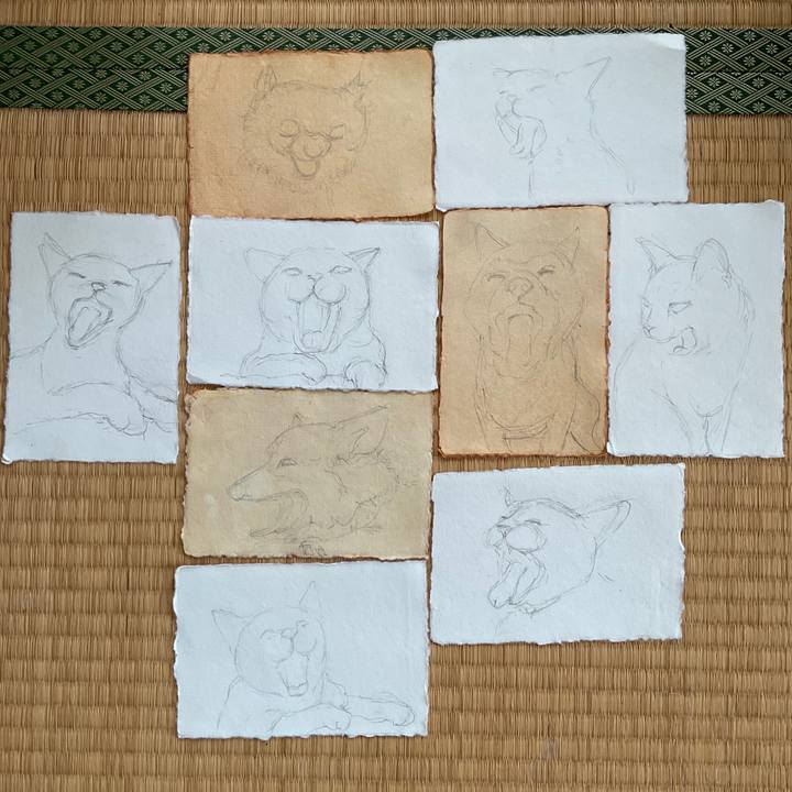 3faf0c07 b8d4 4fc1 8ffb 643c2f29dde6 1766014480423