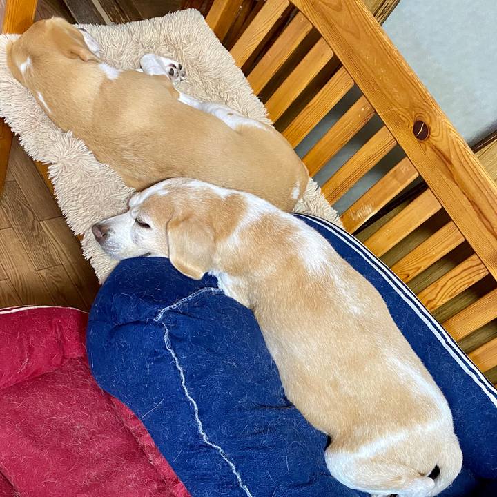 3faf1963 ba6d 45e0 ab59 992f11fbe83c 1591250383059