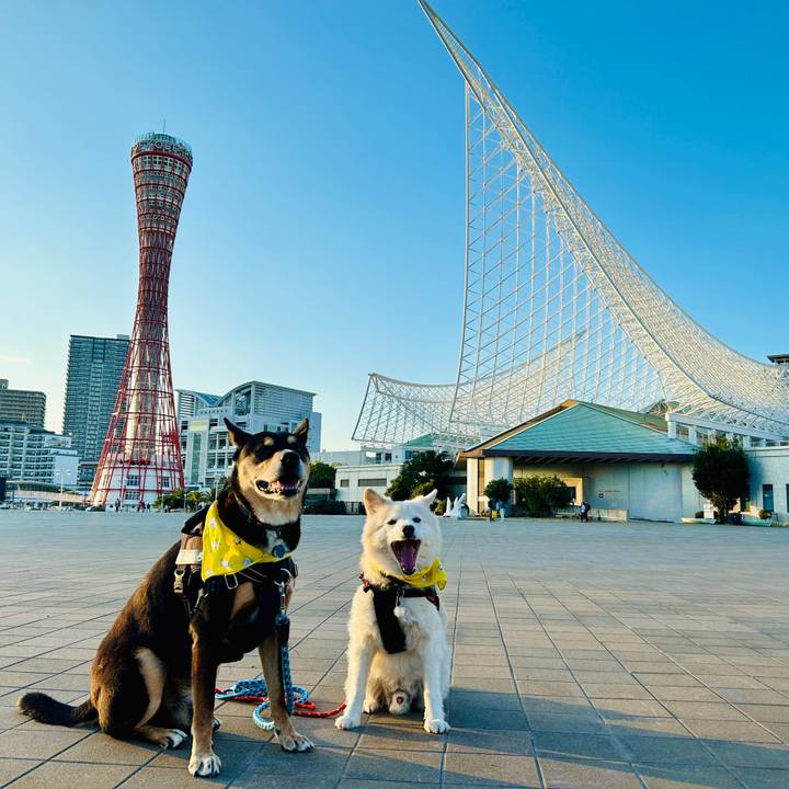 3faf23c8 eb64 4831 af85 2162f3cab005 1735648791758