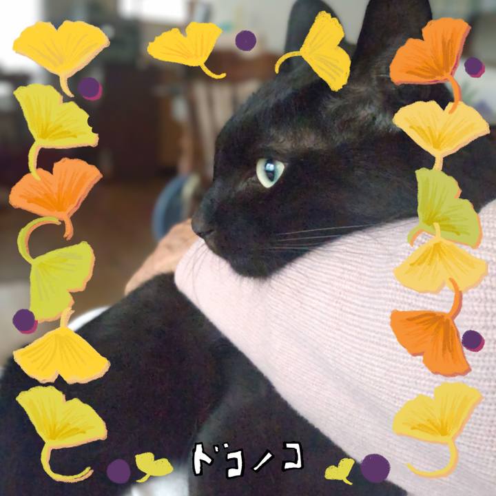 3faf7af0 6741 414f a23e 97d86fea271c 1729344022008