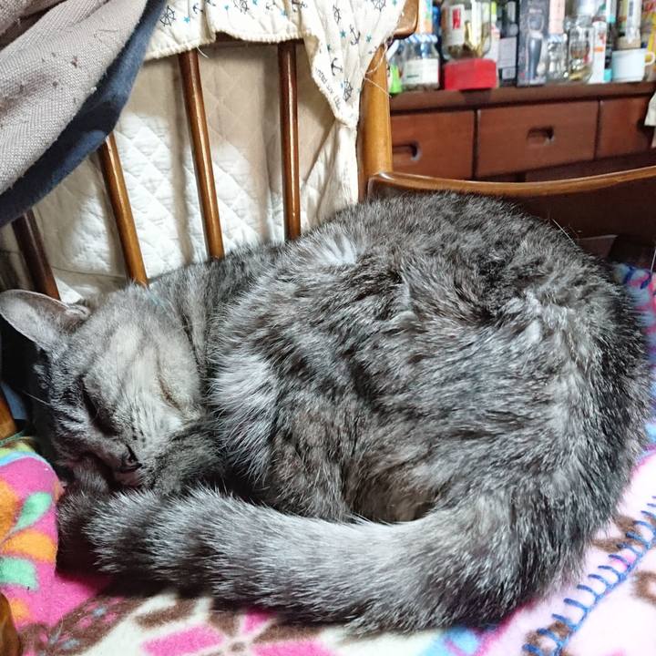 3faf8e19 0bcb 4e3e 84e9 3cff8c63c36b 1573355436959