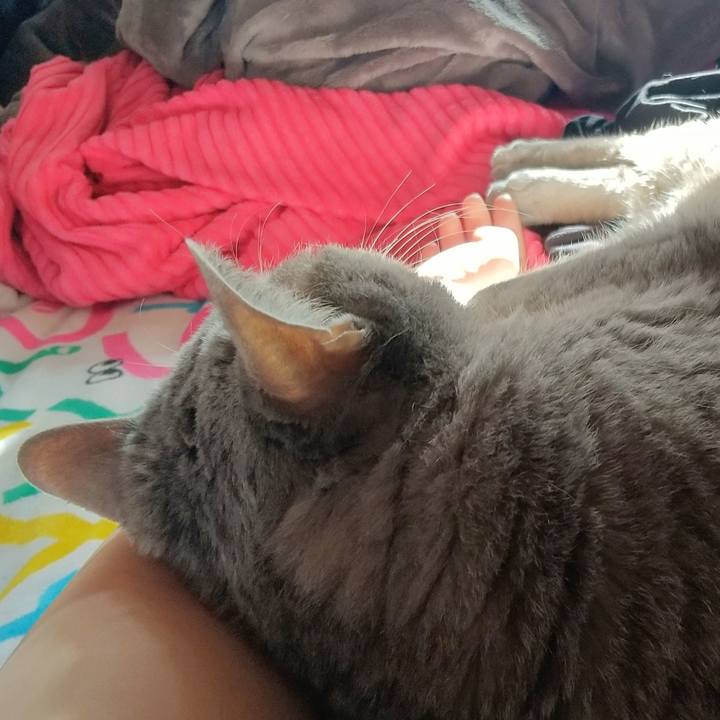 3fafa68f 5eec 47d4 afd0 7f30f9ab0414 1606098856284