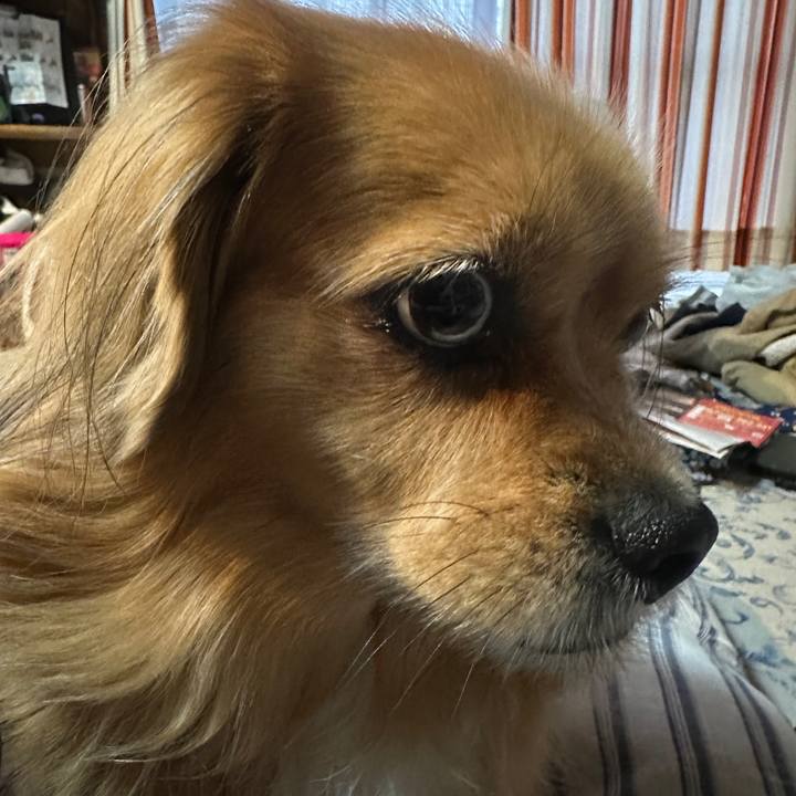 3fb01873 4ba6 456b b83a 88b70d01cd3f 1698268394598