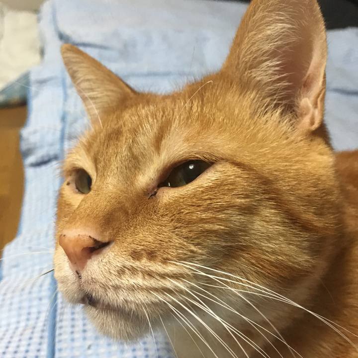 3fb04643 e91e 4352 bf35 c9640cf0d0c0 1541836363232