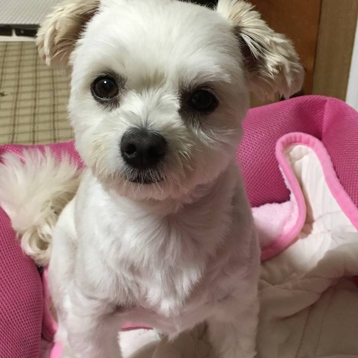 3fb04872 d5e5 40bd 8c86 bbbcc08dbd15 1534830263101