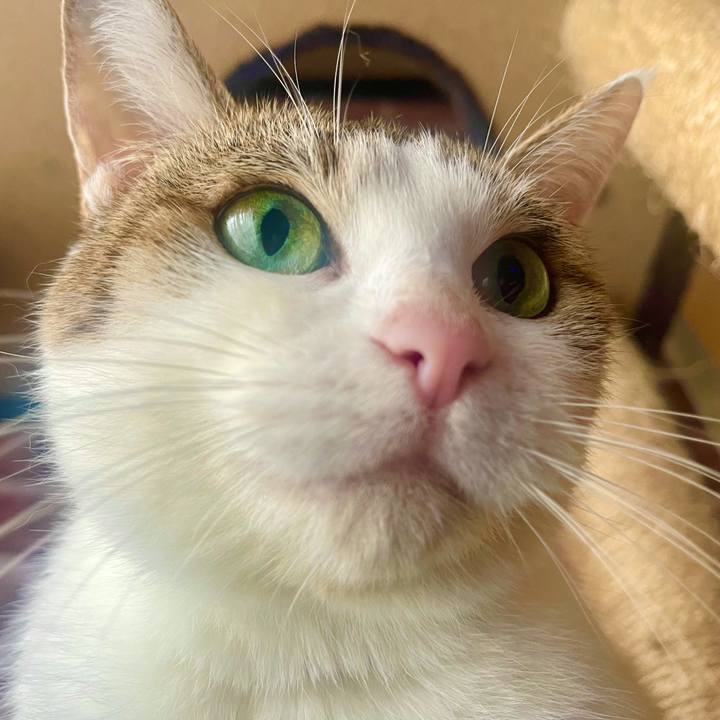 3fb08180 9e66 4fb9 bb1c dc67ce3519fb 1633047790672