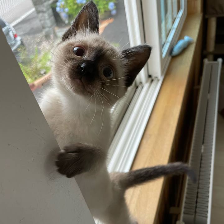 3fb08759 544f 4da5 a9e9 881f208a278f 1689105806808