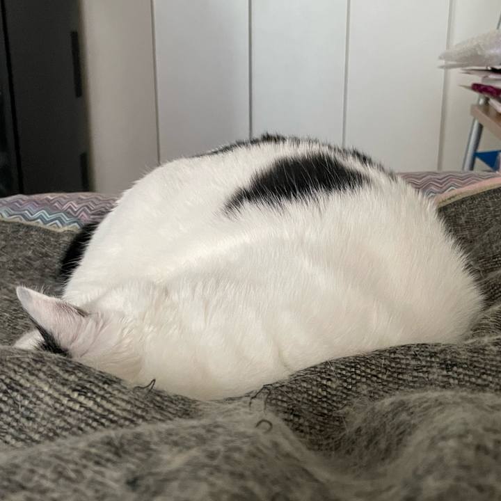 3fb0c9dd eba2 445b aab5 05f142be8574 1669950281702