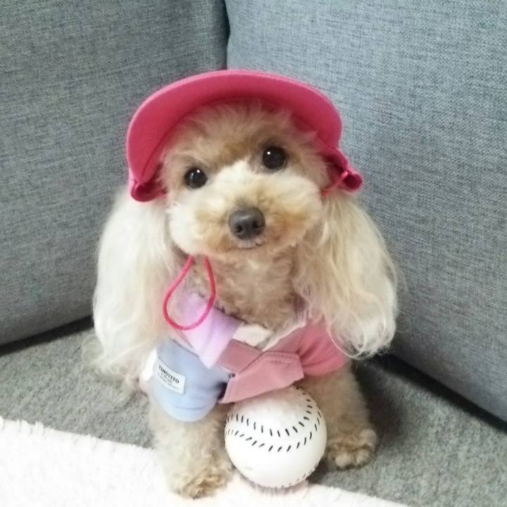 3fb0d692 5827 40d3 ad12 bf9b0a3992d2 1561031935810