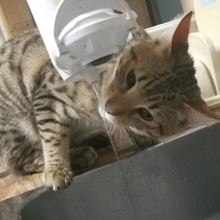 3fb0ddb1 33f8 4992 ad8c ac3661feaafb 1569593943475