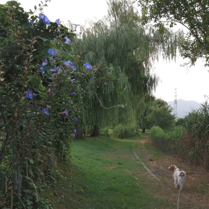 3fb0e533 a2e4 4c17 bc13 06d27cee406d 1598052833681