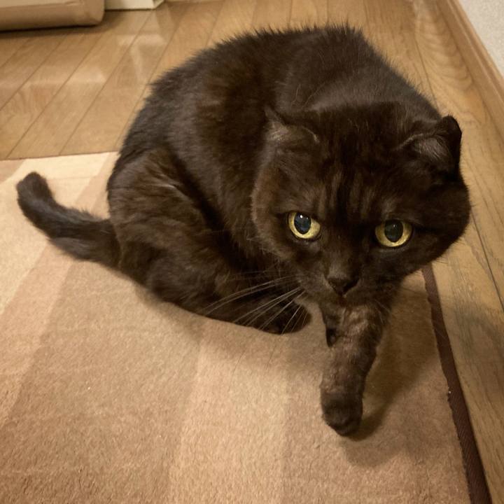 3fb10d74 4a9a 41cb 8a94 0258f60006ee 1635867736998