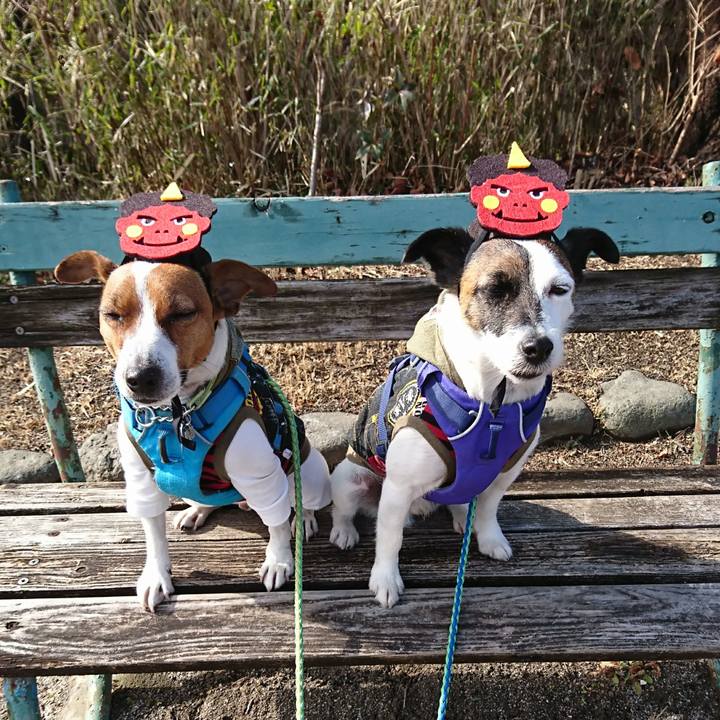 3fb15282 0705 4b2f 9da8 674d5de87e72 1612234013388