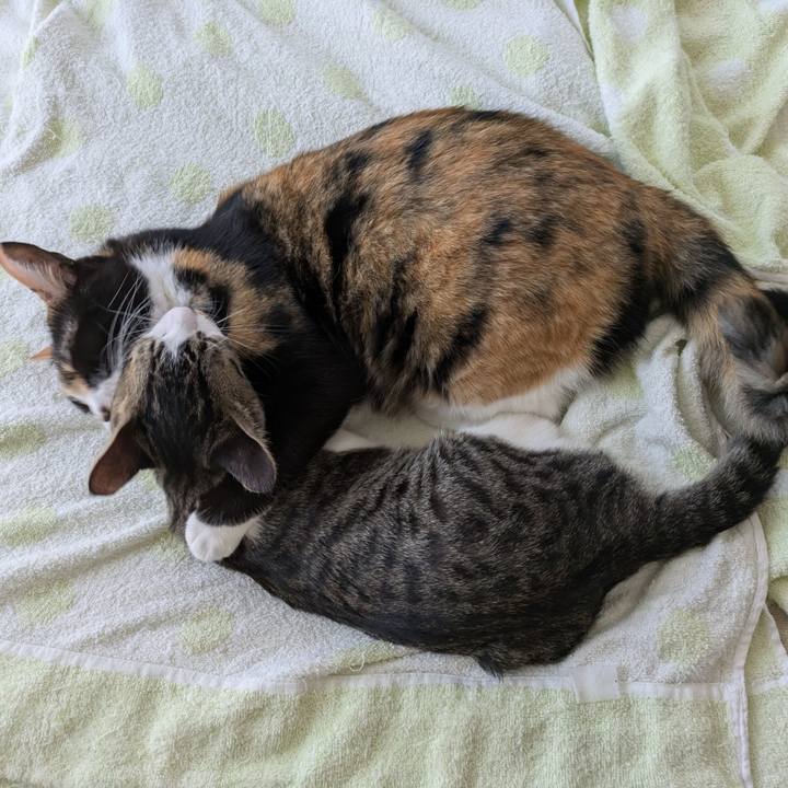 3fb16335 b240 40a8 afa2 6e6d21c0d357 1725540292533