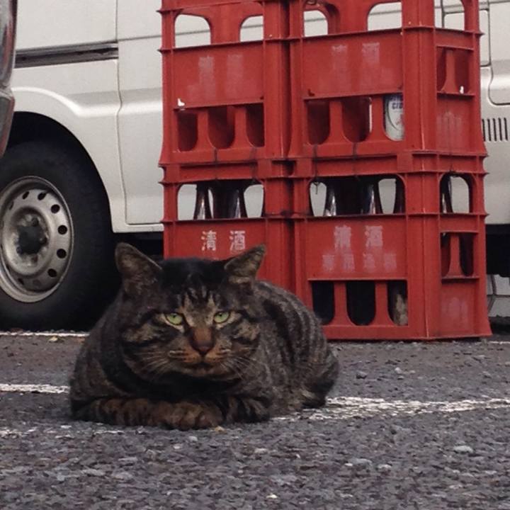 3fb1ddba dfa4 46f3 8299 79ad9f50b7e3 1510736412709