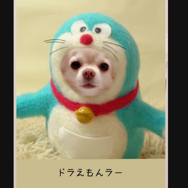 3fb1e42f e7a8 4cb6 b8e5 b3195b7e22e0 1716896022666