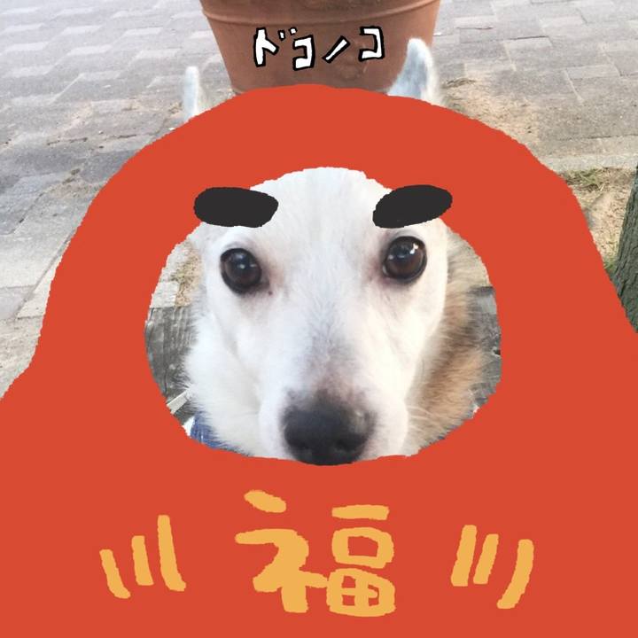 3fb243a2 da0a 4ee4 8810 9e4c374c1fb3 1772016569802