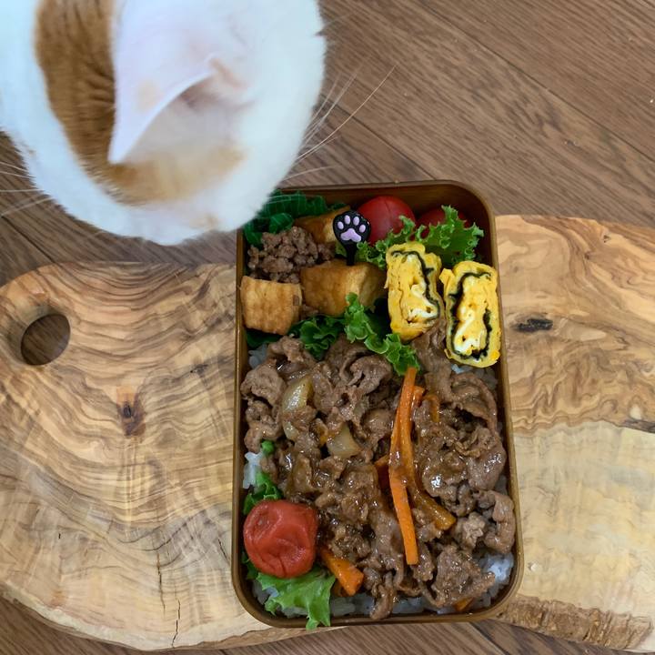 3fb253ac 65fa 4682 a8de 3347548a1879 1653517124976