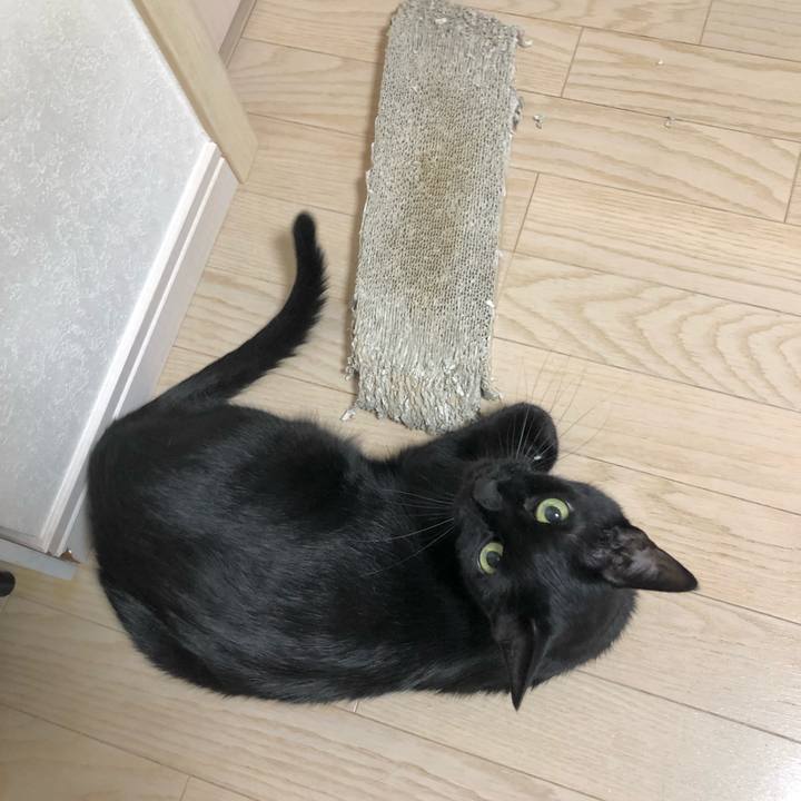 3fb25ec3 98a1 4e71 ac3b a59ea6f54df4 1627388409114