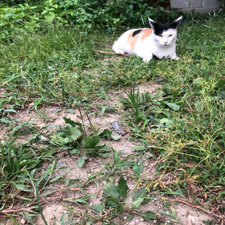 3fb2774b 24bf 4c67 8bb0 58f32587f0c8 1599126742624