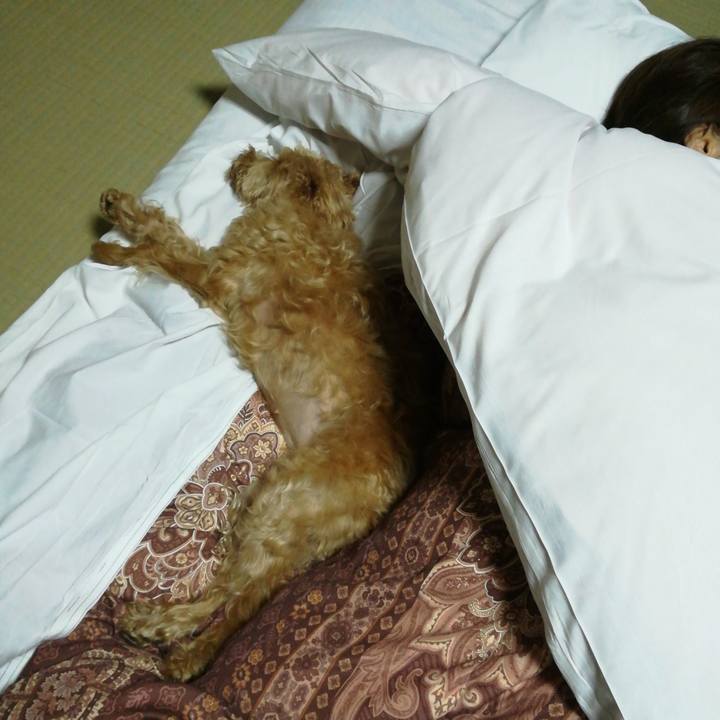 3fb28d75 42d4 4098 832d 7cdc0ef7356c 1532087955763