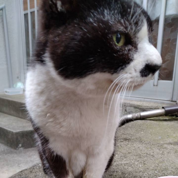 3fb2a0a5 07dd 4535 8c75 475b0acd19a3 1709194229640