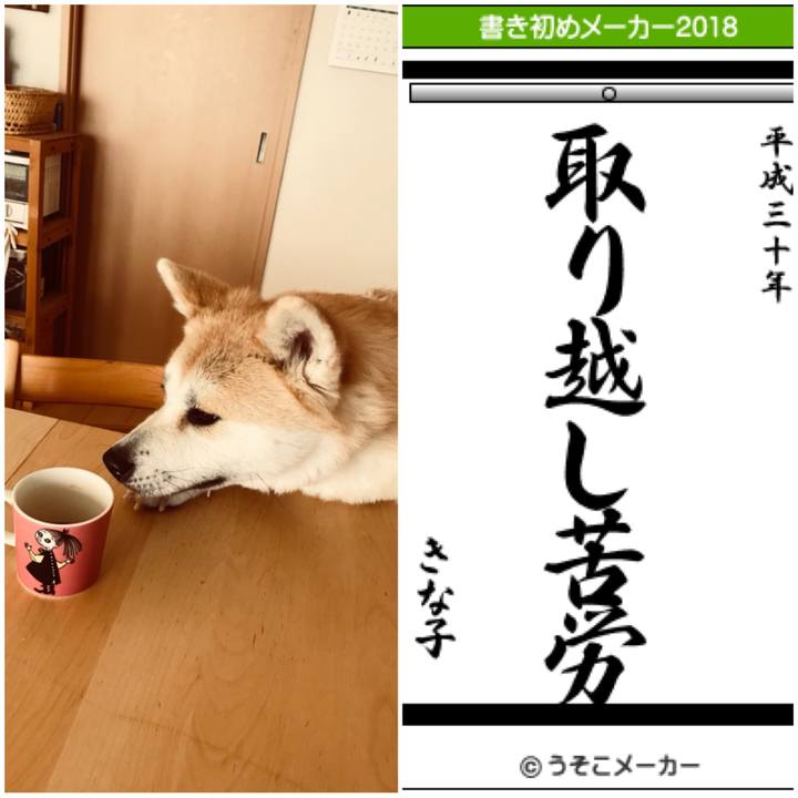 3fb2a3b5 e3e5 4ecf afde 1c31e6bf36cd 1514978259480