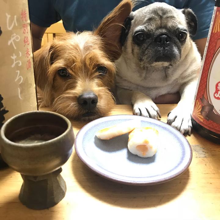 3fb2efa0 4f04 46bc b89f 45c70a815425 1537054138350